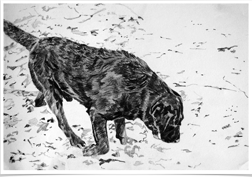 Snowy Nero
pencil on paper
30 x 20 cm Snowy Nero
pencil on paper
30 x 20 cm